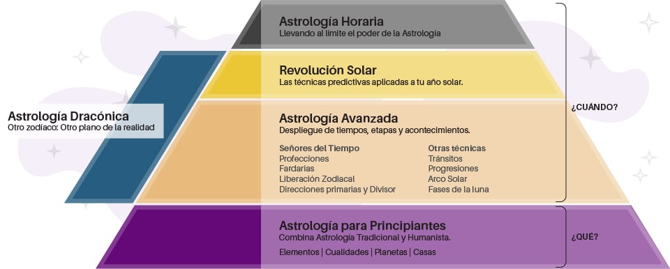 piramide academica cursos